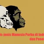 Jenis-jenis Manusia Purba