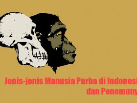 Jenis-jenis Manusia Purba