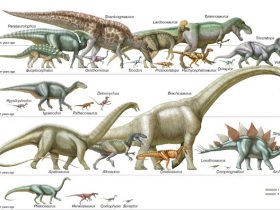 Sejarah Pembagian Zaman Dinosaurus