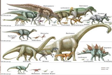 Sejarah Pembagian Zaman Dinosaurus
