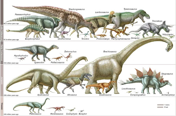 Sejarah Pembagian Zaman Dinosaurus Hingga Kepunahannya