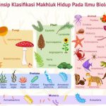 Klasifikasi Makhluk Hidup Ilmu Biologi