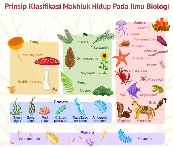 Klasifikasi Makhluk Hidup Ilmu Biologi