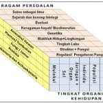 Peran Biologi Sebagai Ilmu Pengetahuan dan Ruang Lingkup Biologi